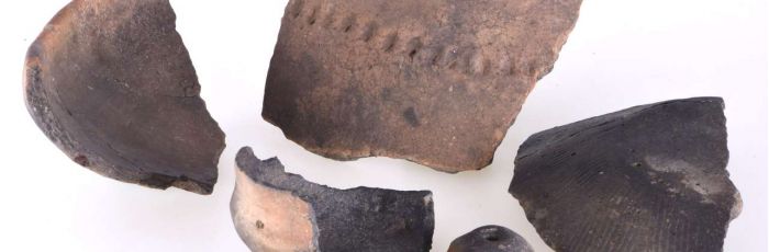 2018/08 - Wenn einer was auf dem Kerbstein hat – frühe Kelten in Remagen